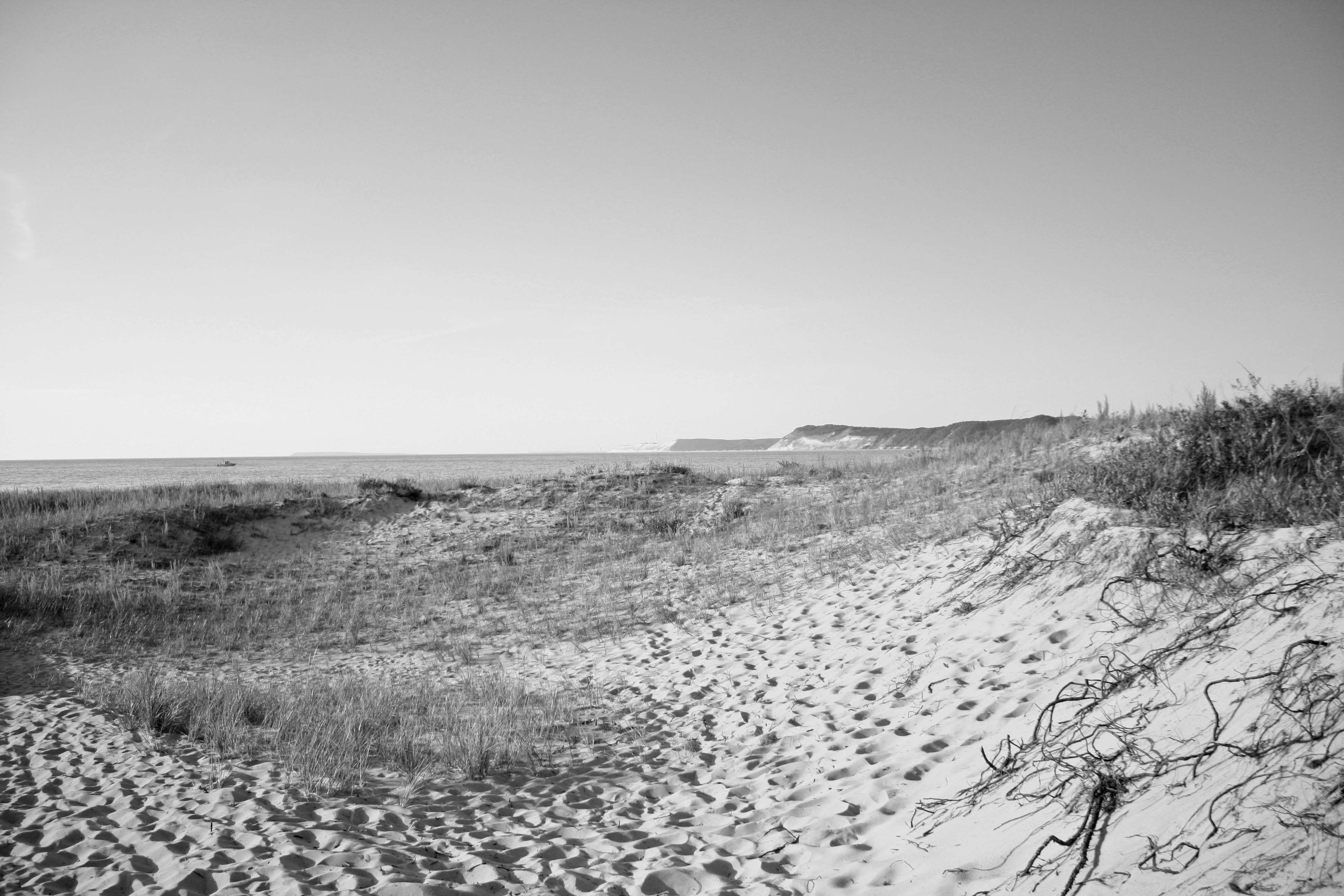 Dog Friendly Beaches in Northern Michigan 