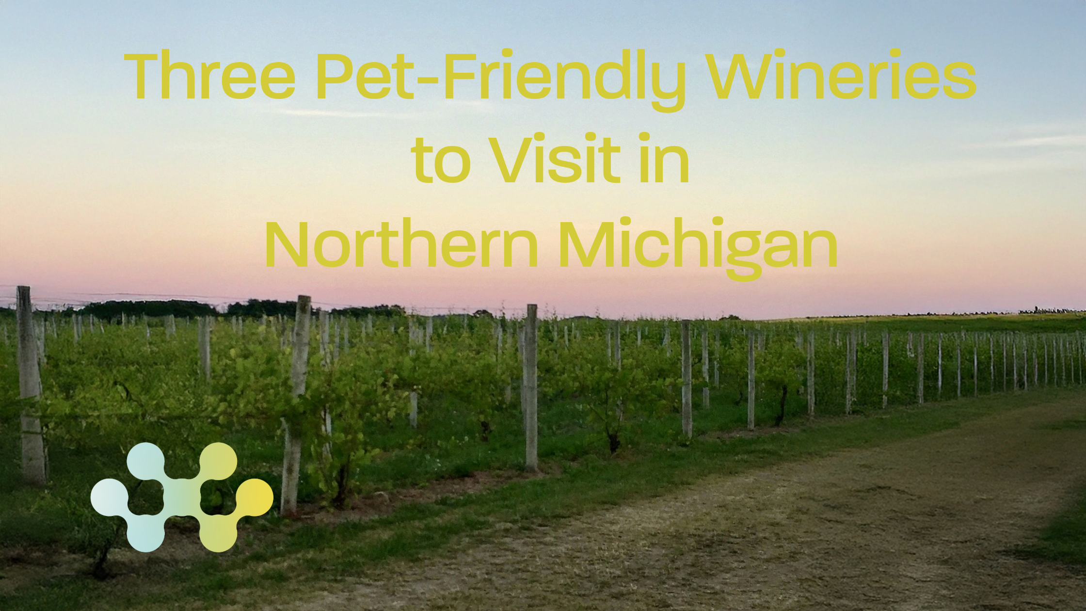 5 Pet-Friendly Wineries in Northern Michigan 