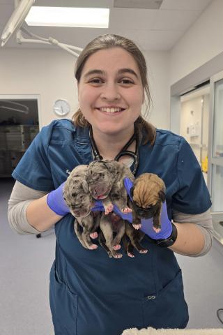 Dr. Sarah Giglio, DVM