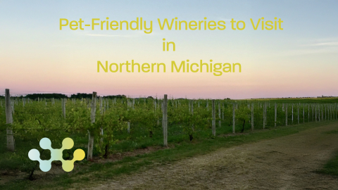 Pet Friendly Wineries Northern Michigan