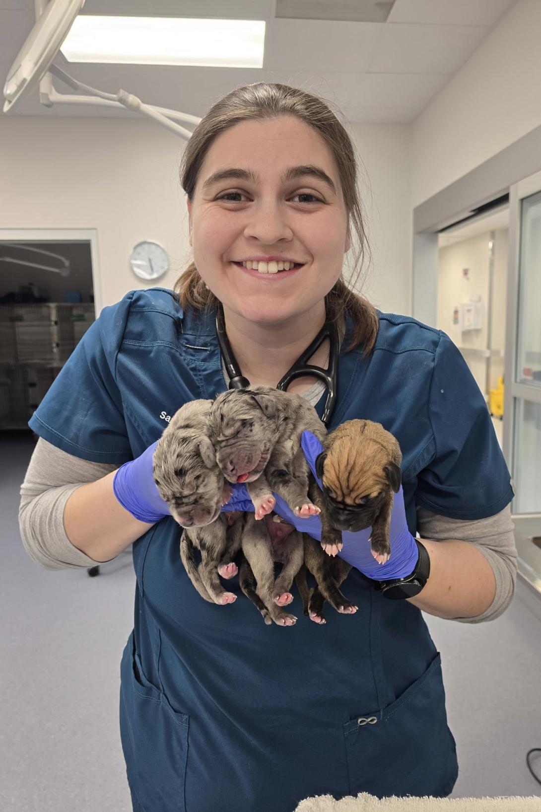 Dr. Sarah Giglio, DVM