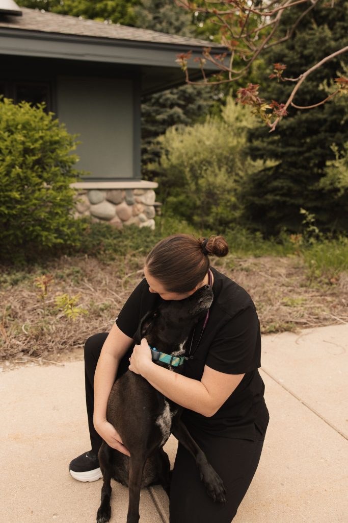 Veterinarian examining a pet for straining to urinate or defecate at Omnivet in  Traverse City, MI