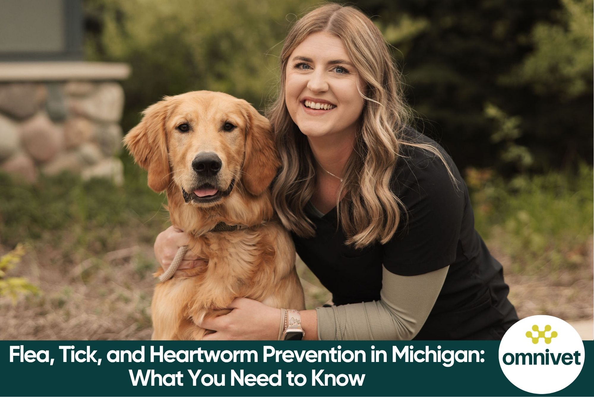 Flea, Tick, and Heartworm Prevention in Michigan: What You Need to Know