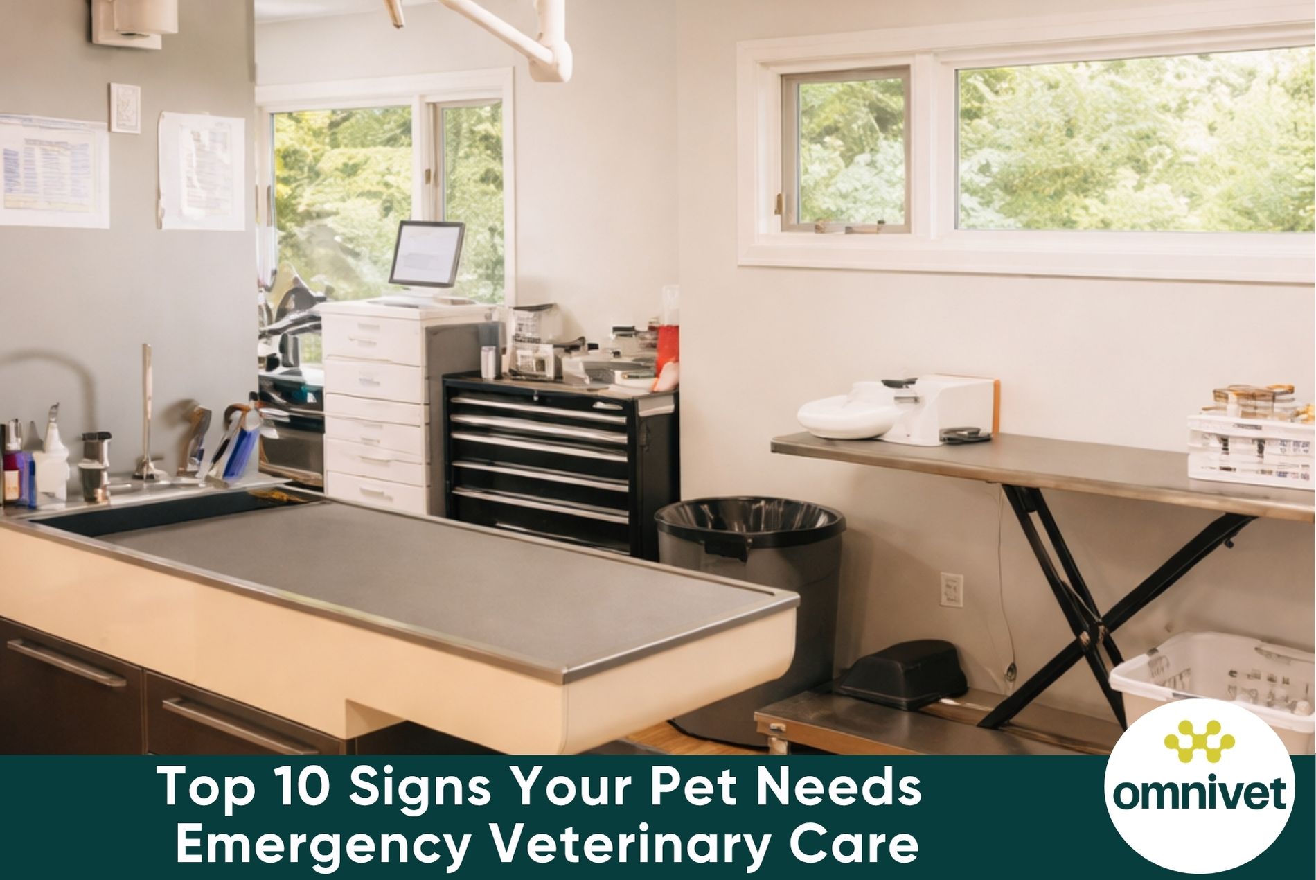 Top 10 Signs Your Pet Needs Emergency Veterinary Care